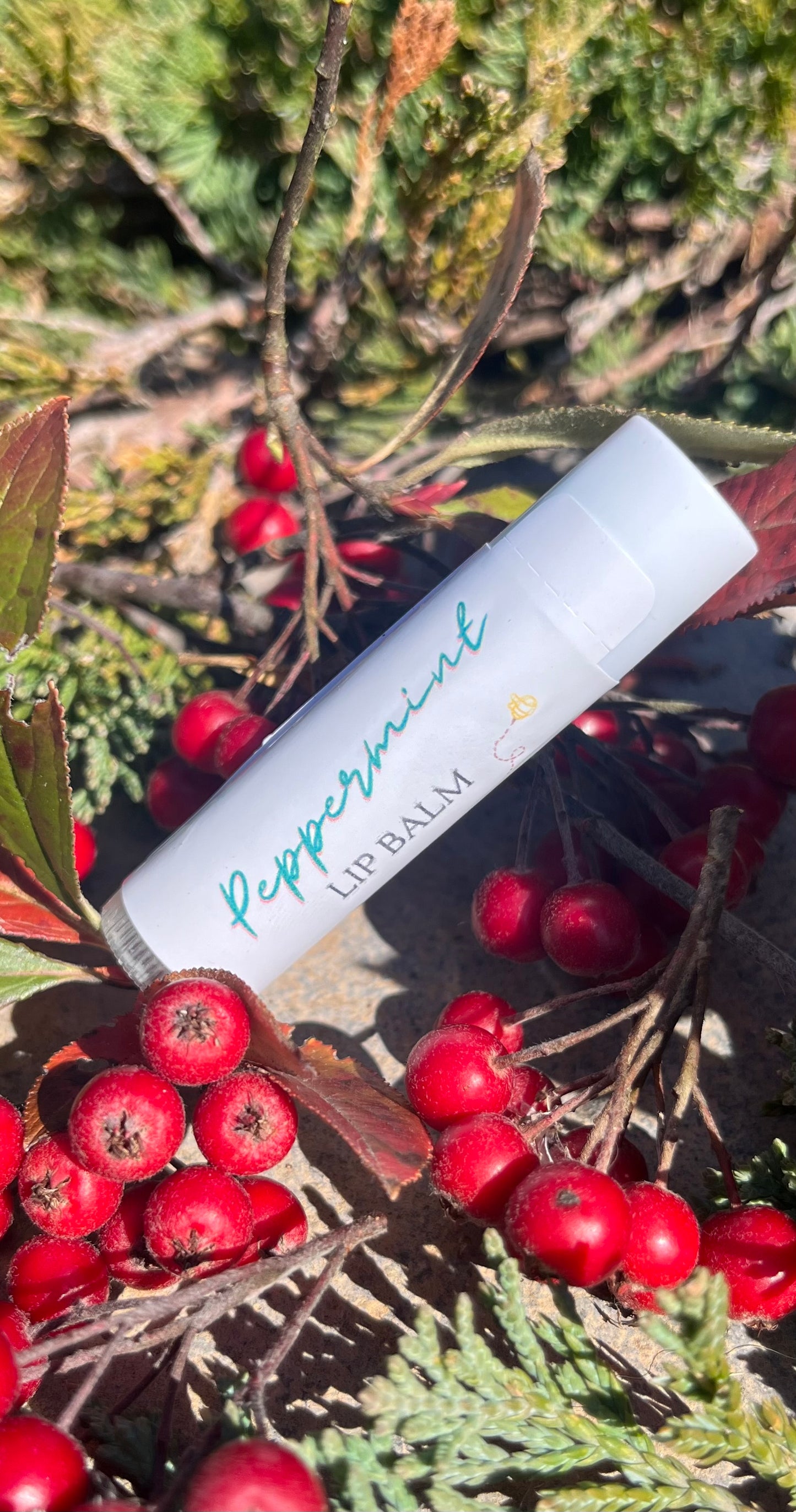 Natural, moisturizing Lip Balm