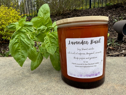 Lavender Basil Candle